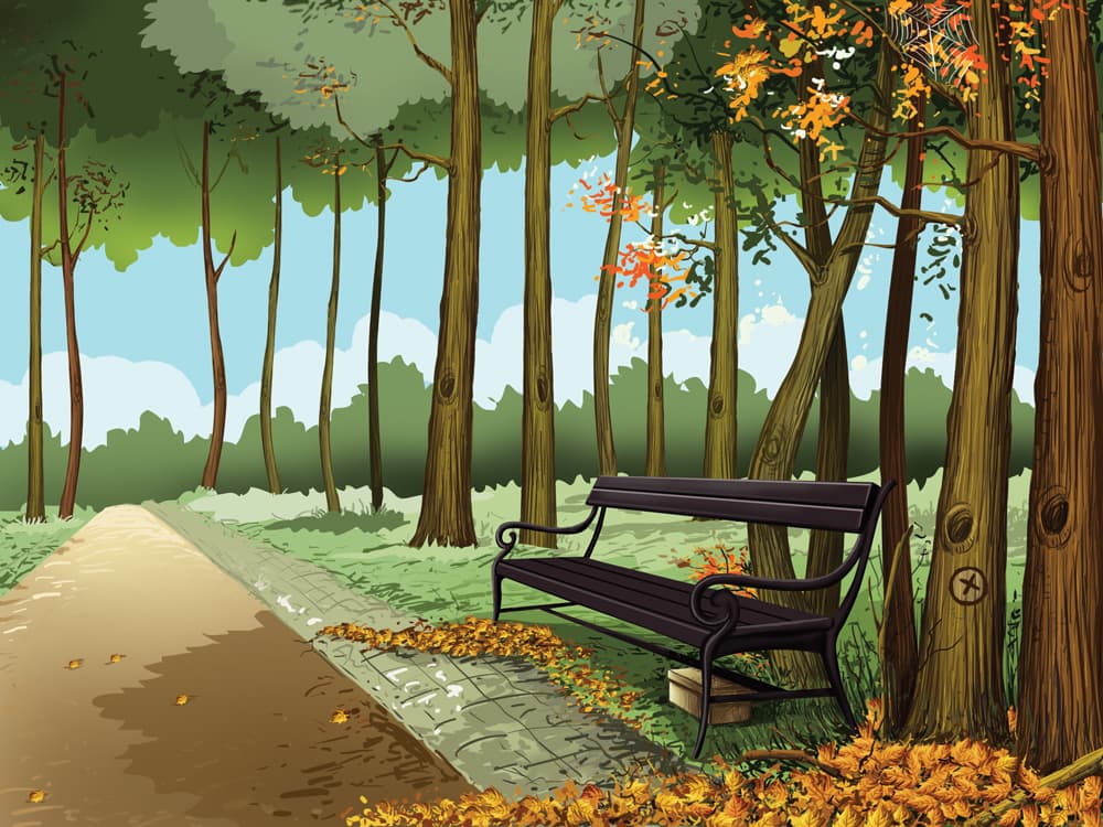 Forest Path by Emberleaf Creative Studio