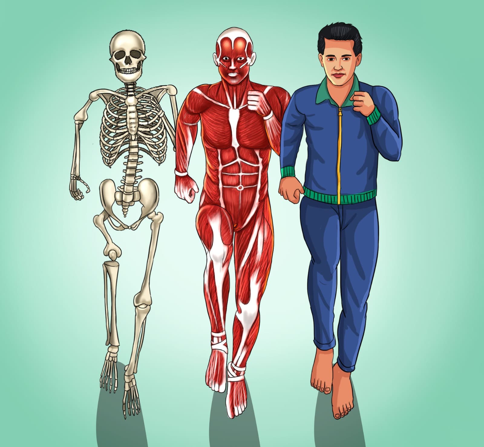 Anatomy Runners by Emberleaf Creative Studio