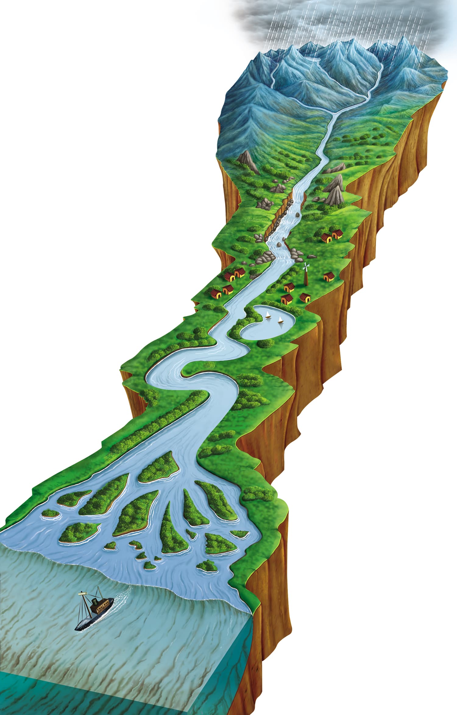 River Delta Cutaway Illustration by Emberleaf Creative Studio